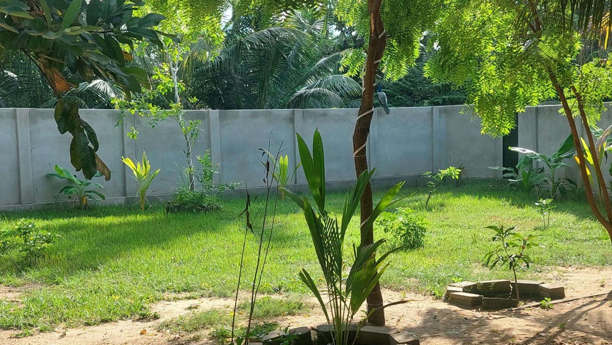 The Dream Inn Guesthouse Passikudah Batticaloa Luaran gambar