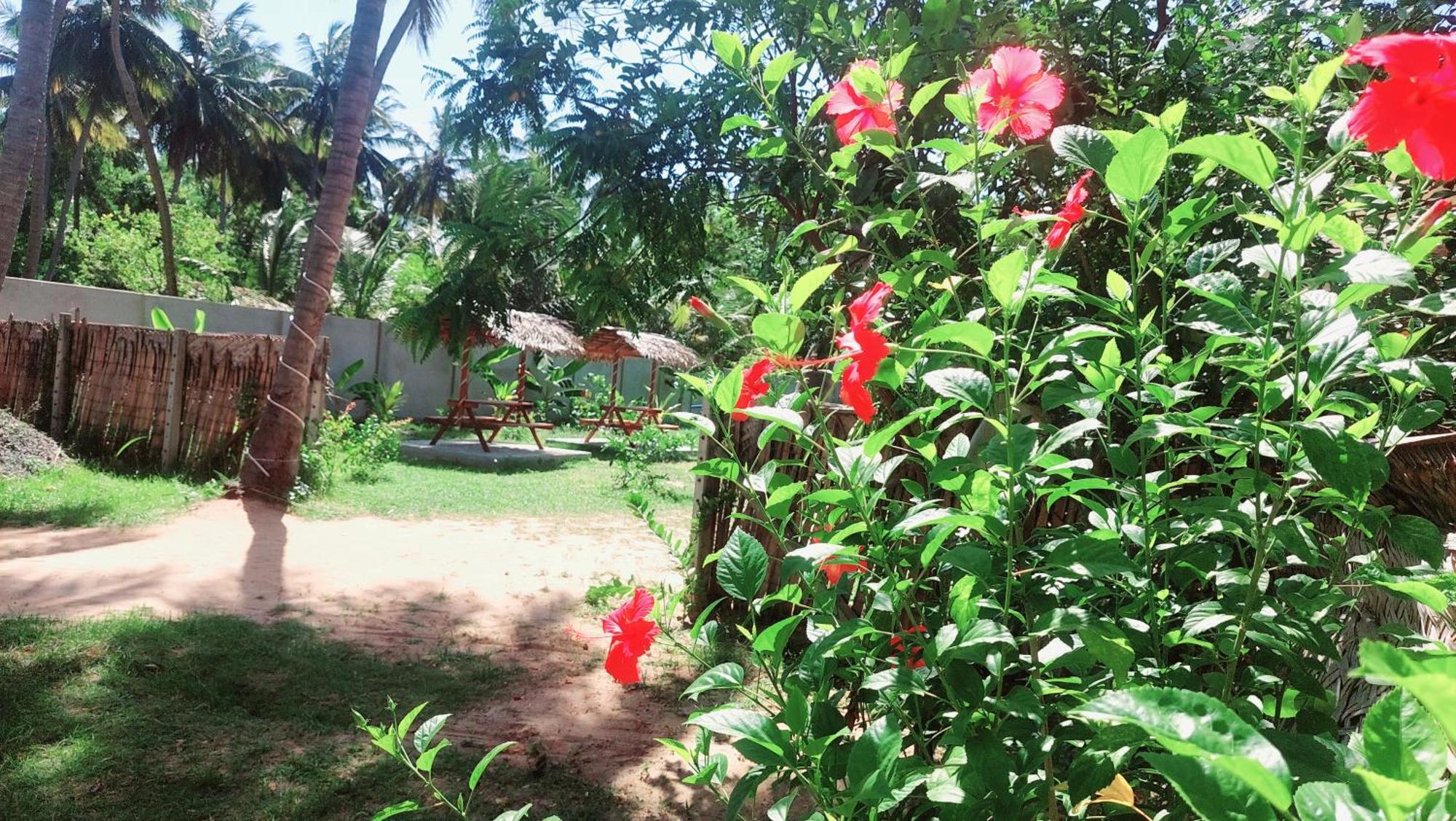 The Dream Inn Guesthouse Passikudah Batticaloa Luaran gambar