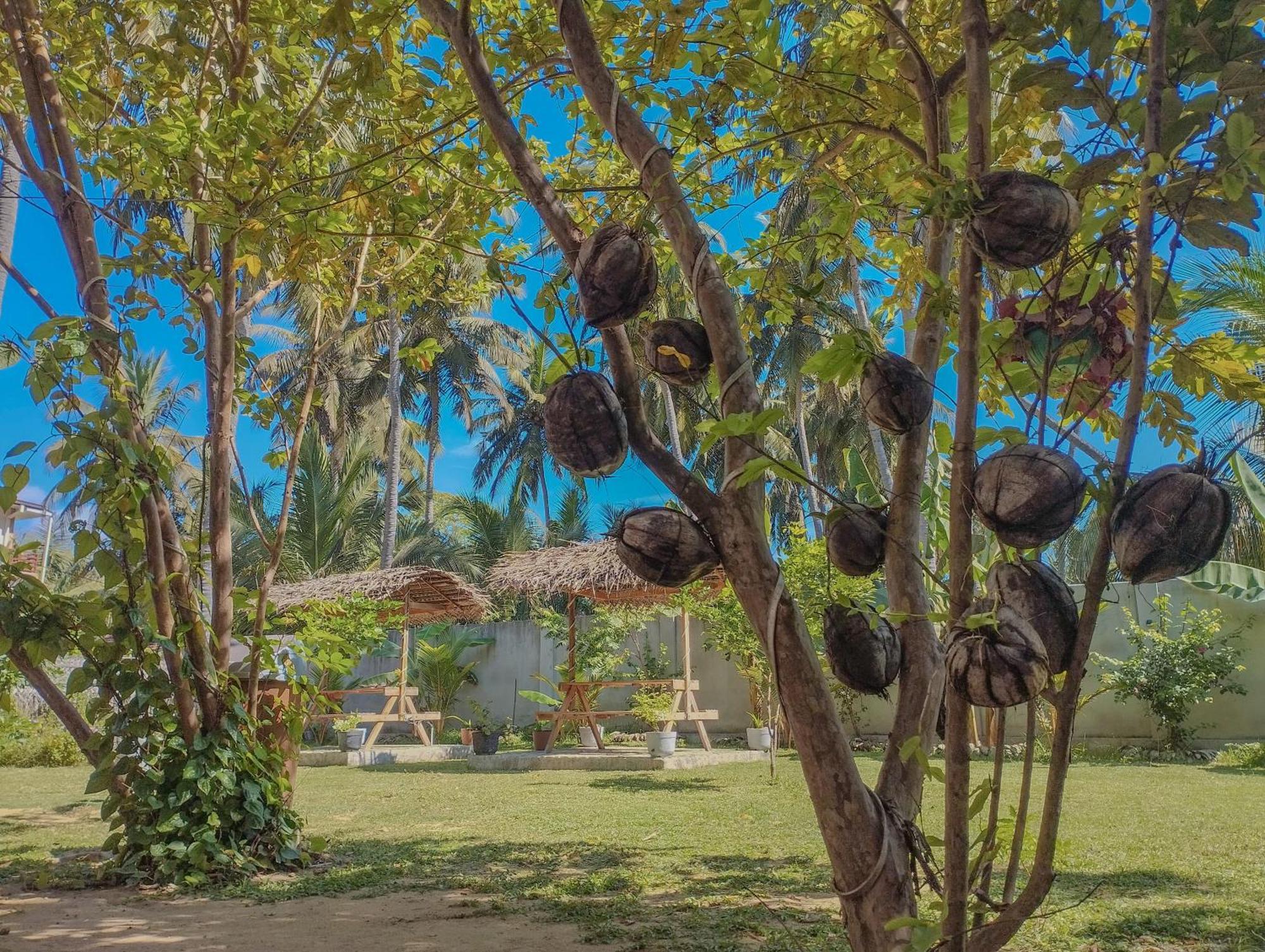 The Dream Inn Guesthouse Passikudah Batticaloa Luaran gambar